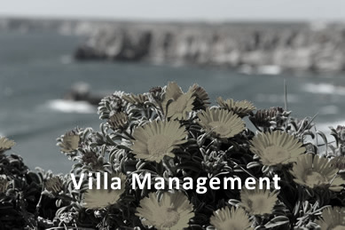 Villa Management